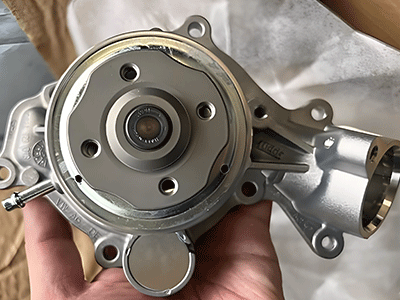 Automotive water pump bearings